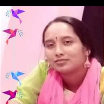 Faculty Profile